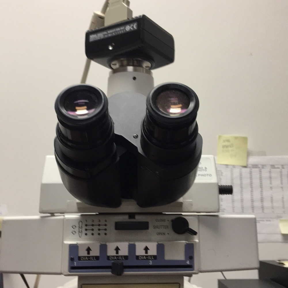 Meet your Posher, Amy